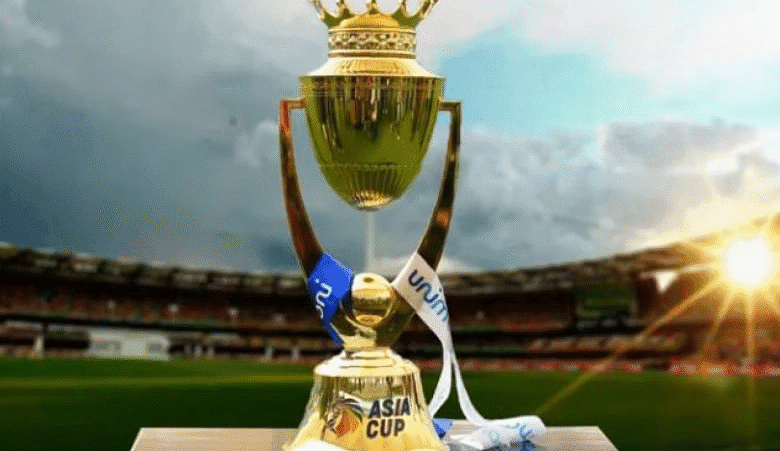 Cricket Tournaments