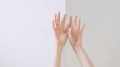 손에 관한 꿈해몽