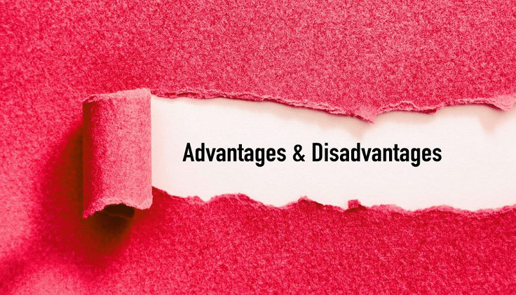 Advantages & Disadvantages