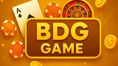 BDG Game Account Verification